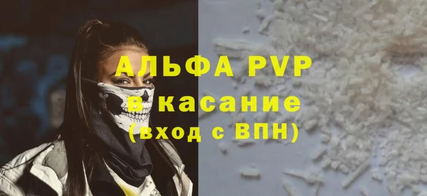 индика Богданович