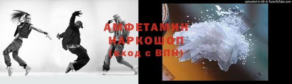 индика Богданович