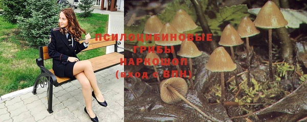 индика Богданович