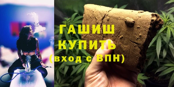 индика Богданович