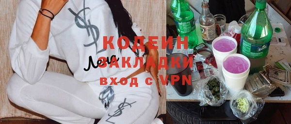 индика Богданович