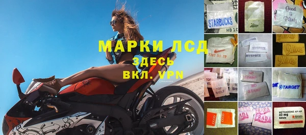 индика Богданович