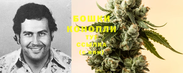 индика Богданович