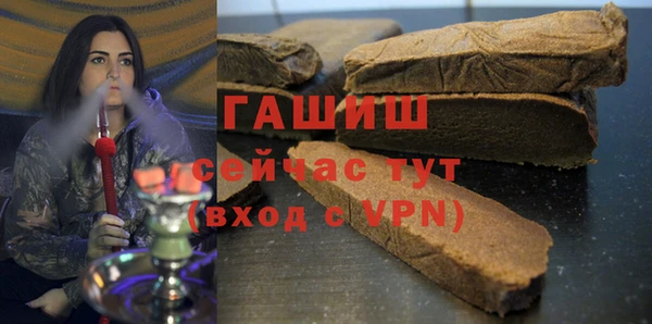 индика Богданович