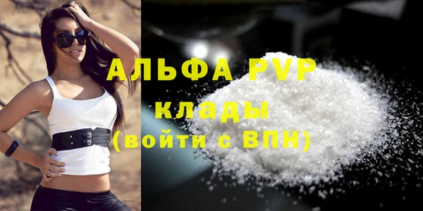 индика Богданович