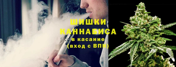 индика Богданович