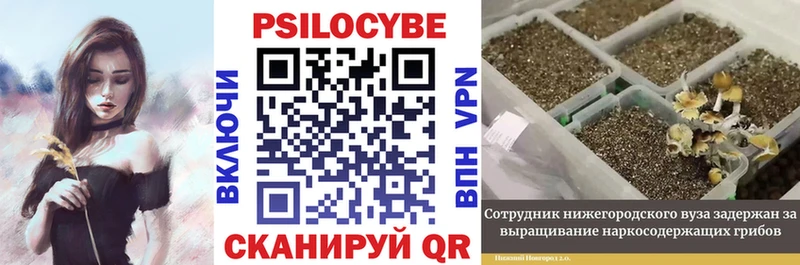 Псилоцибиновые грибы прущие грибы  Купить  Углегорск 
